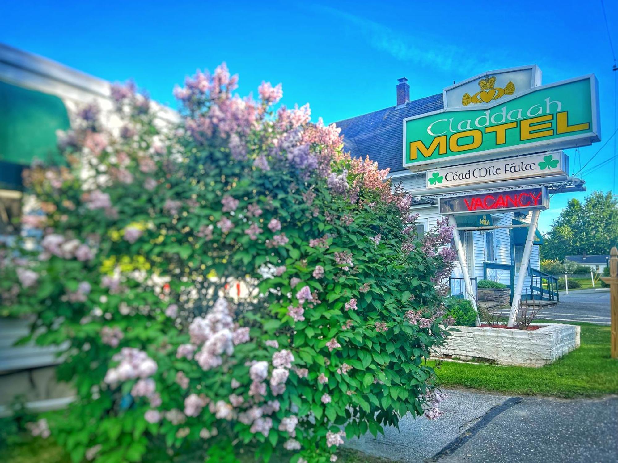 Claddagh Motel&Suites Rockport Buitenkant foto